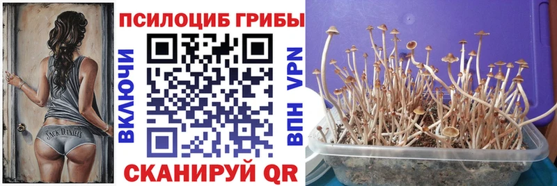 Галлюциногенные грибы прущие грибы  Пестово 
